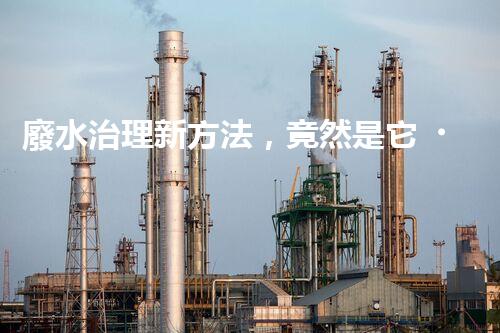 廢水治理新方法，竟然是它？！